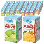덴마크 테이크 얼라이브 망고 24p + 스위티자몽 24p, 120ml, 48개